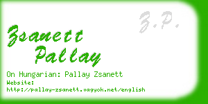 zsanett pallay business card